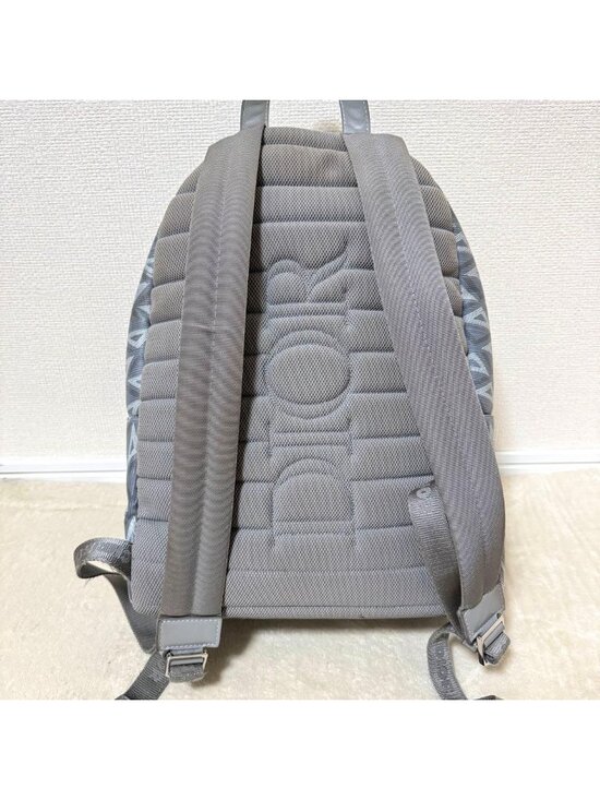Dior Backpack CD Diamond Gray main image 5